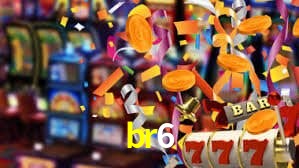 Premium Interface br6