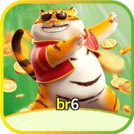br6